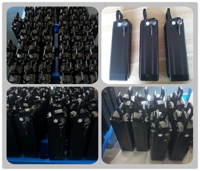 Pedelec bike battery