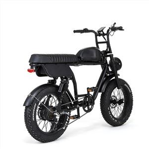 دوچرخه برقی Fat Tire