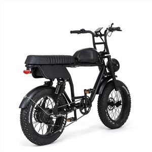 دوچرخه برقی Fat Tire